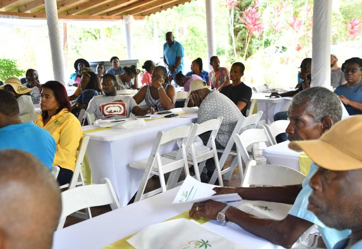 Coconut Industry Board Hosting Town Halls to Educate Farmers on Policy Shifts