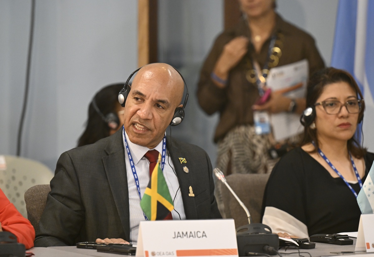 Ambassador Anderson Delivers Jamaica’s National Statement During 55th OAS Regular Session