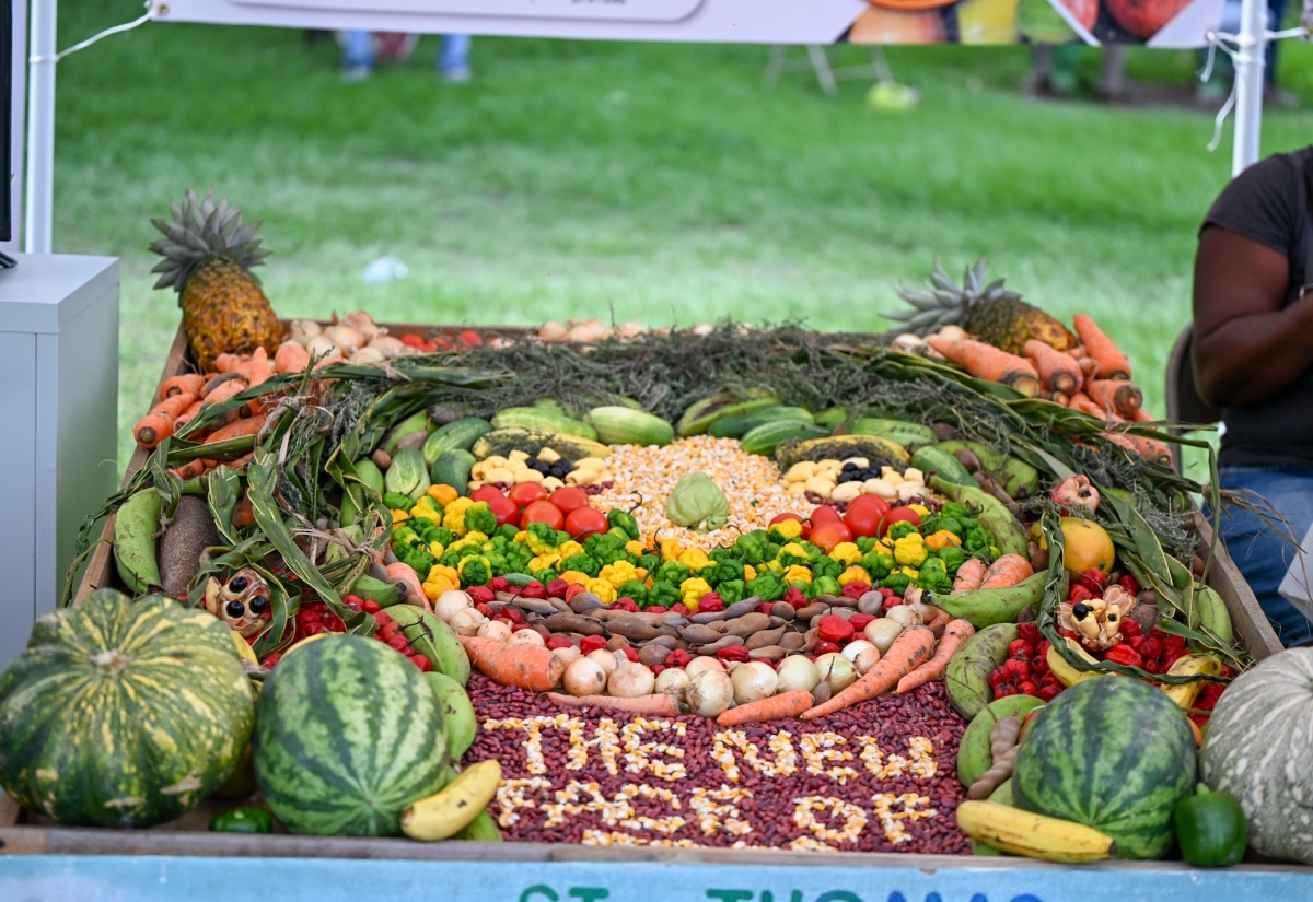 Mechanisation Boost for St. Thomas as Agricultural Momentum Builds