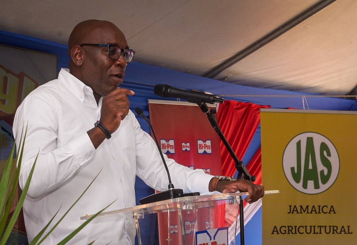 Denbigh Showground Comes Alive from August 1-3