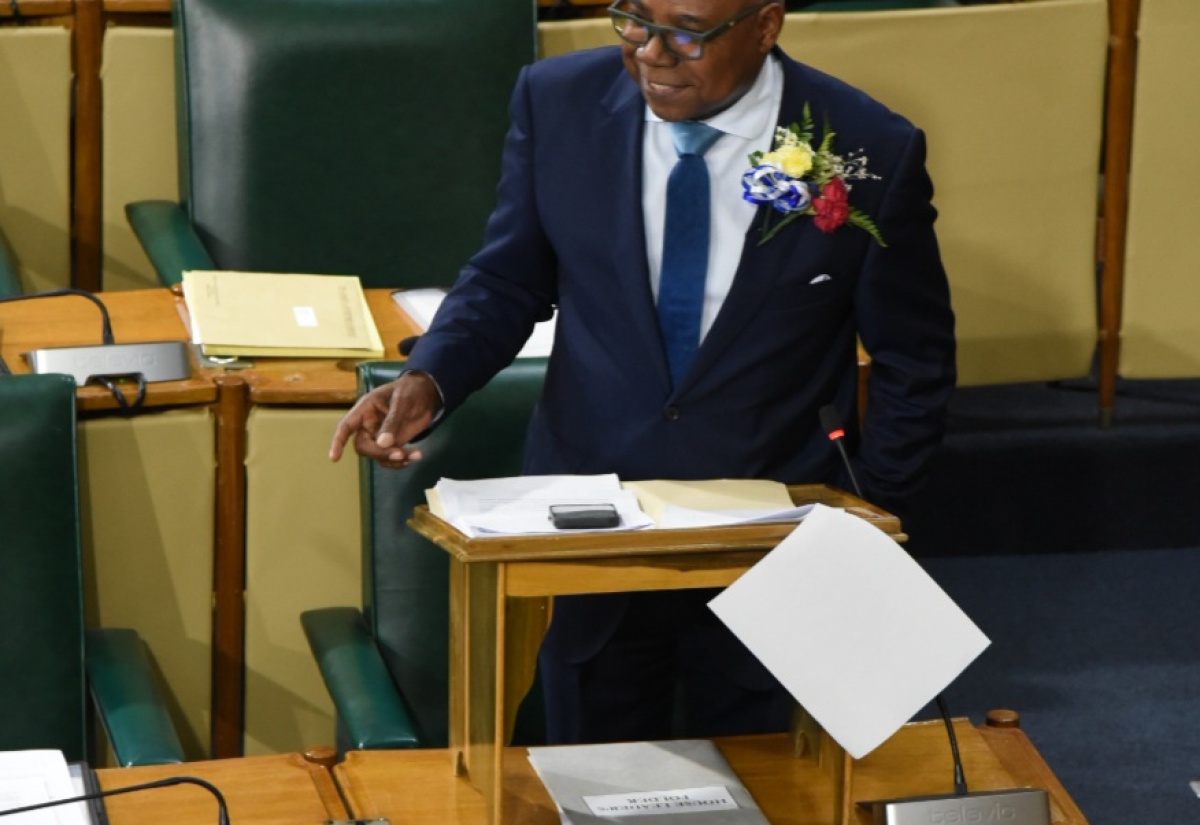 House of Representatives Commences Debate on Jamaica Tourist Board Bill