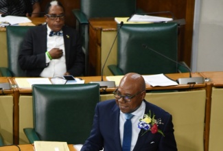 Tourism Minister, Hon. Edmund Bartlett, addresses the House of Representatives on Tuesday (July 1).