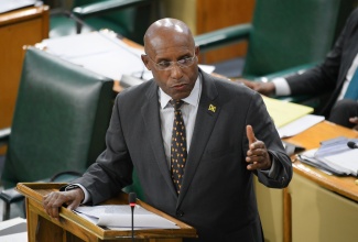 Minister of Industry, Investment and Commerce, Senator the Hon. Aubyn Hill, addresses Friday’s (July 4) sitting of the Senate at Gordon House.