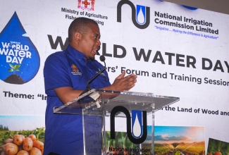 Minister of Agriculture, Fisheries and Mining, Hon. Floyd Green, addresses a recent World Water Day forum and training session at Ebony Park HEART Academy in Clarendon.