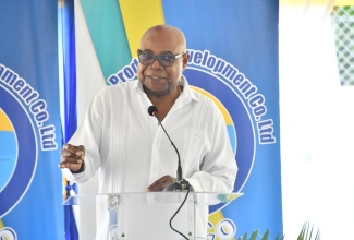Minister of Tourism, Hon. Edmund Bartlett. 

