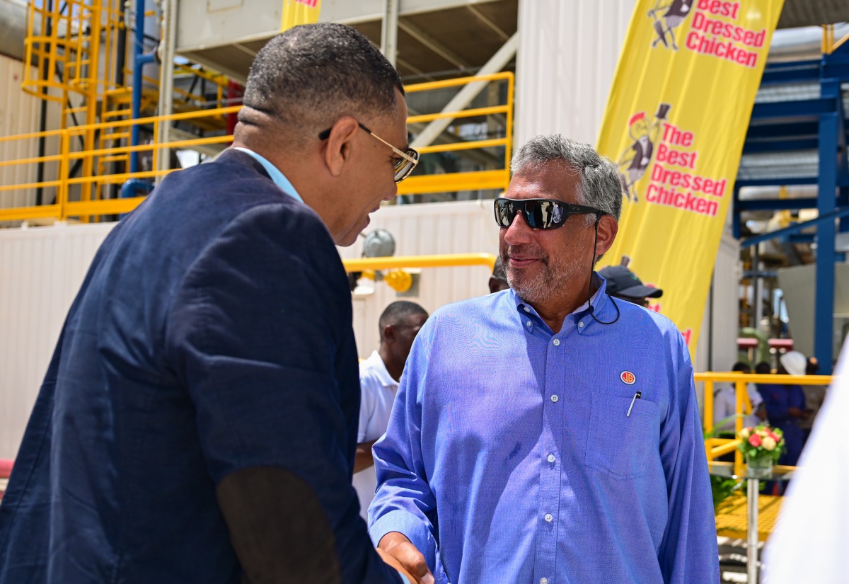 PM Commissions Best Dressed Chicken’s LNG Plant