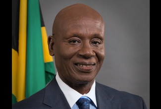 Minister of Local Government and Community Development, Hon. Desmond McKenzie.