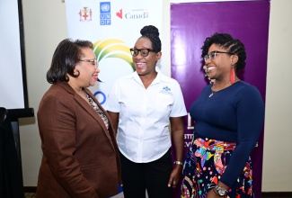 Executive Director of the Jamaica Council for Persons with Disabilities (JCPD), Dr. Christine Hendricks (centre), converses with Permanent Secretary in the Ministry of Justice, Grace-Ann Stewart McFarlane (left), and Head of the Institute of Gender and Development Studies (IGDS) at the University of the West Indies (UWI), Mona, Dr. Dalea Bean. The interaction followed the launch of an islandwide social justice and gender training workshop series for members of the justice sector at the Courtyard by Marriott Hotel in Kingston on August 20. The workshops form part of the Canada-funded Social Justice (SO-JUST) Project, being implemented by the Ministry of Justice in partnership with the United Nations Development Programme (UNDP).