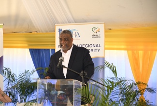 Permanent Secretary in the Ministry of Health and Wellness, Errol Greene, addresses the official ceremony for the adoption of the Hopewell Health Centre in Hopewell, Hanover, on Friday (August 8).