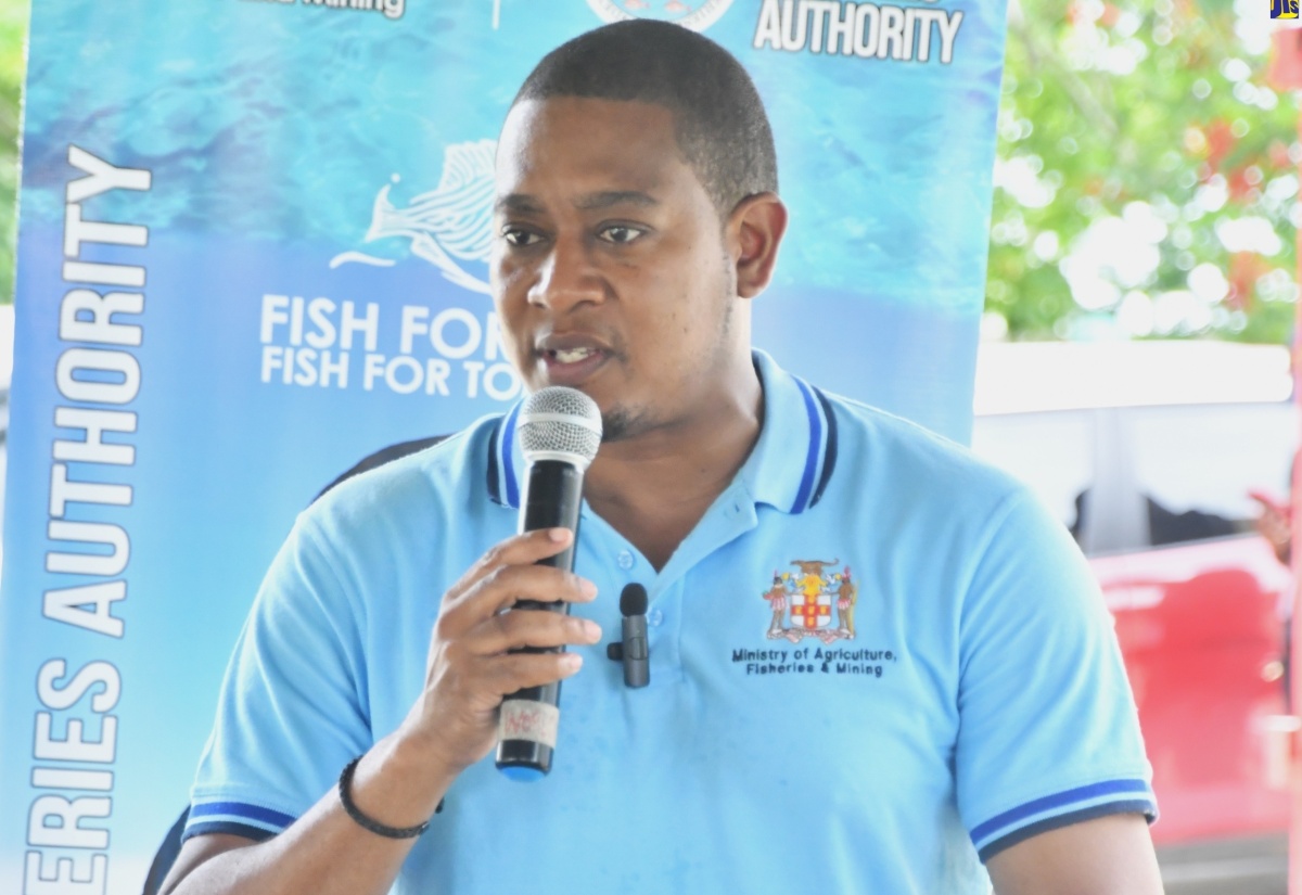 Fishers In St. Elizabeth And Westmoreland Get Boats And Engines