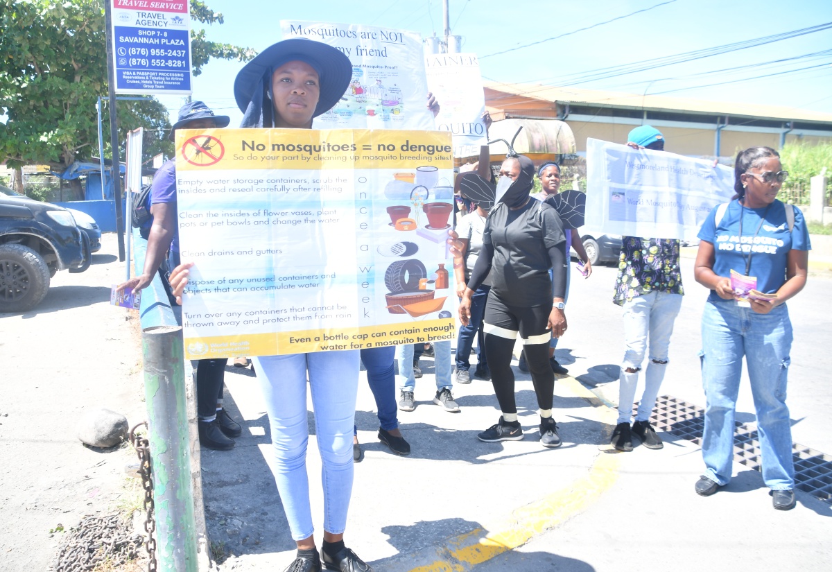 Westmoreland Public Health Department staff participate in a World Mosquito Day parade in Savanna-la-Mar on Wednesday (August 20). World Mosquito Day was observed under the theme ‘Accelerating the Fight Against Malaria for a More Equitable World’.