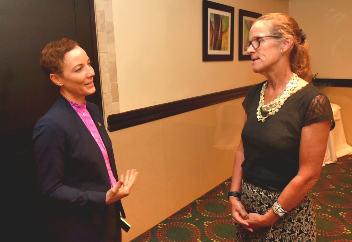 Photos: Farewell Luncheon For Outgoing British High Commissioner To Jamaica