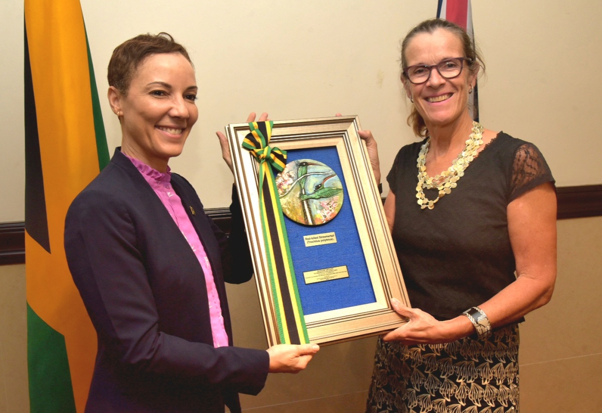 Photos: Farewell Luncheon For Outgoing British High Commissioner To Jamaica