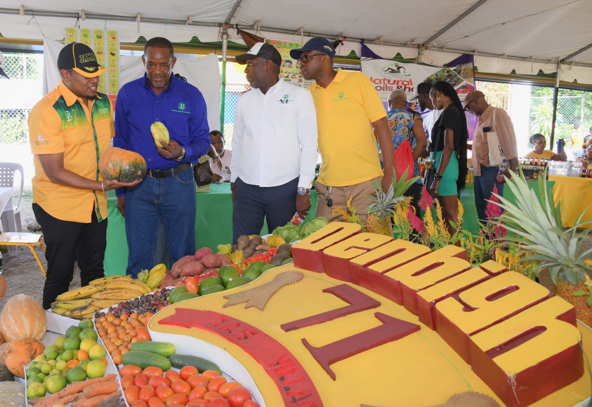 Denbigh 71 Hailed A Success