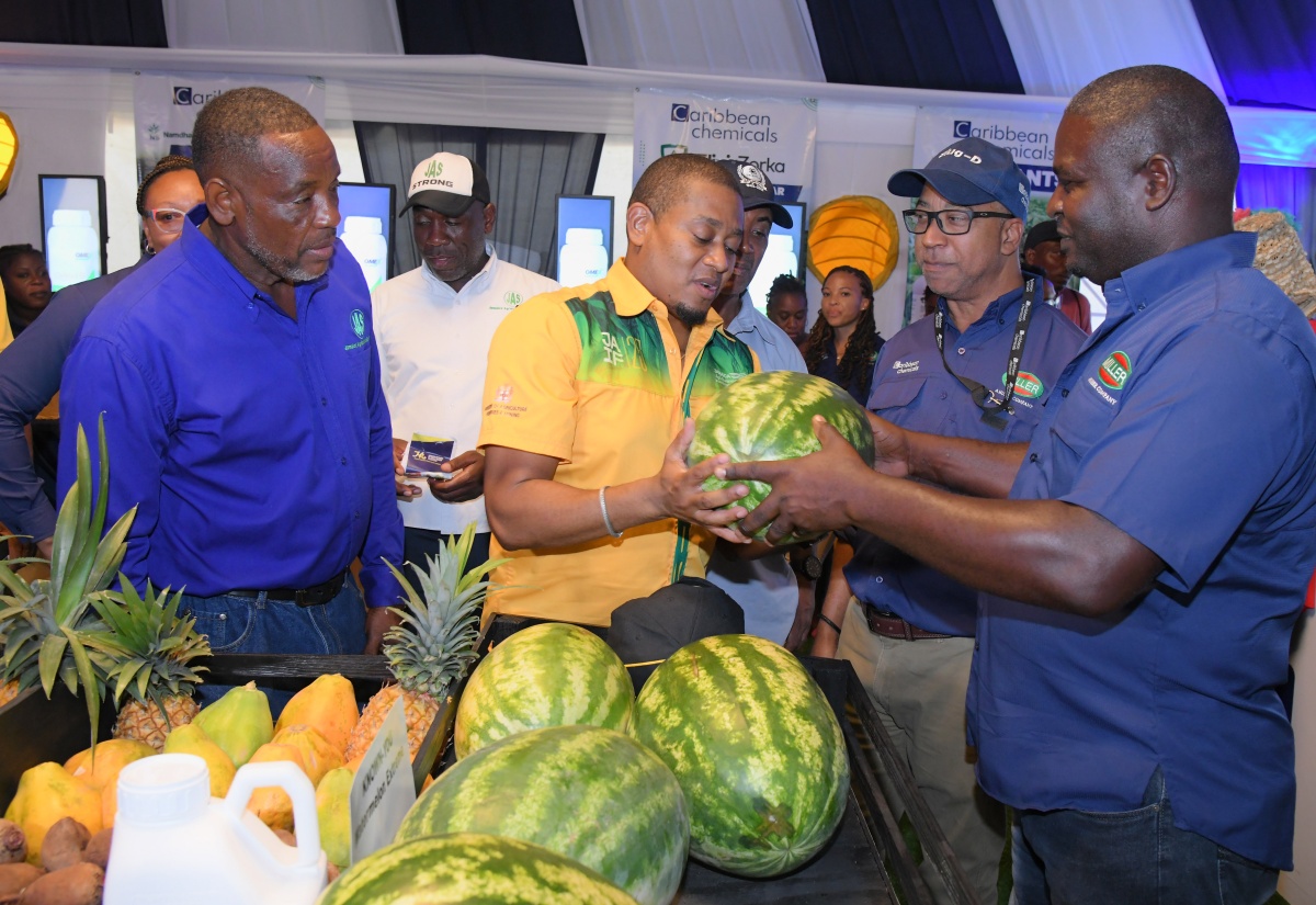 PHOTOS: Minister Green at Denbigh