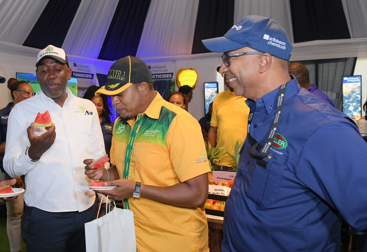 PHOTOS: Minister Green at Denbigh