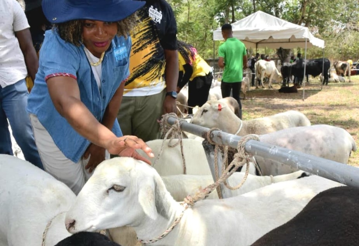 HEART/ NSTA Trust Showcase Innovation In Farming At Denbigh