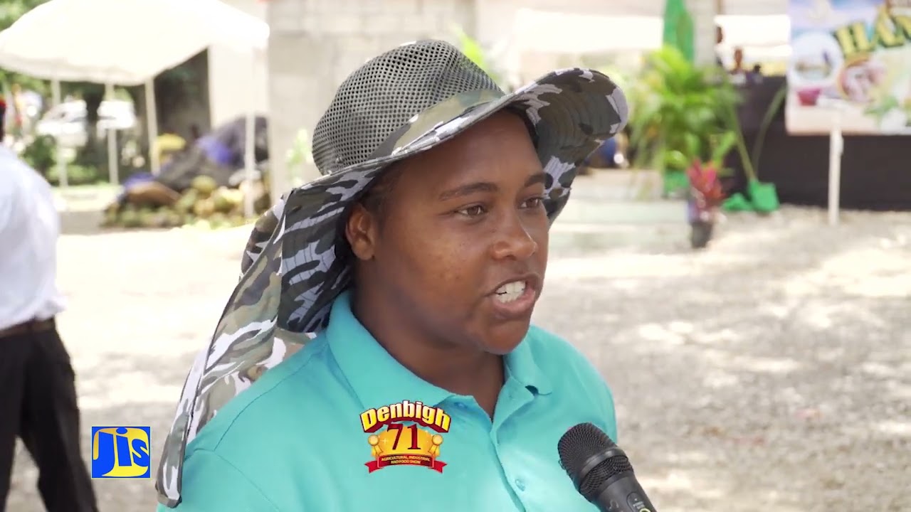 Inside the Denbigh Agricultural Show-Farming, Food and Innovation