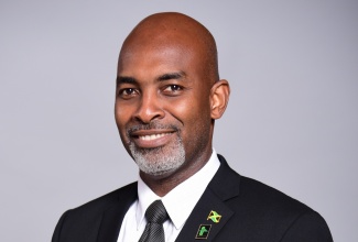 Chief Executive Officer (CEO) and Conservator of Forests at the Forestry Department, Ainsley Henry

