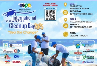 Flyer for International Coastal Cleanup Day 2025. 

