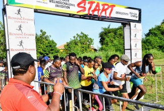 The race is underway in the 3K fun run/walk at Hope Gardens in St. Andrew on Saturday (Sept. 13). The event was part of a series of wellness activities in observance of Caribbean Wellness Day (CWD) 2025.