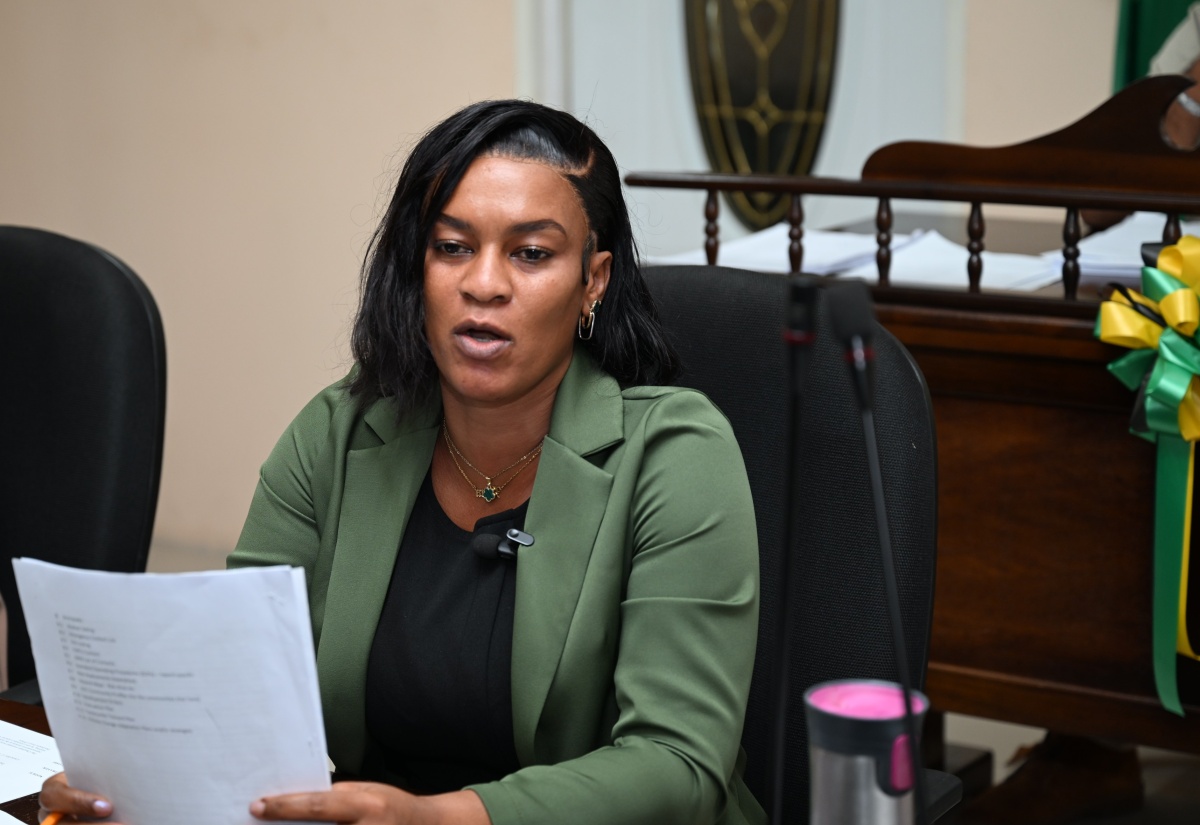 St. Elizabeth to Review Draft Parish Disaster Risk Management Plan
