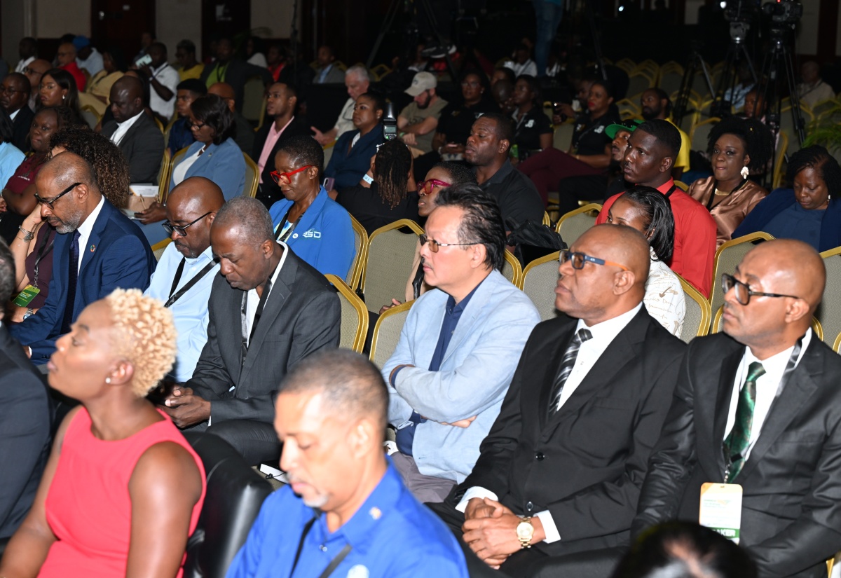 Over 9,000 Direct Beneficiaries under REDI II