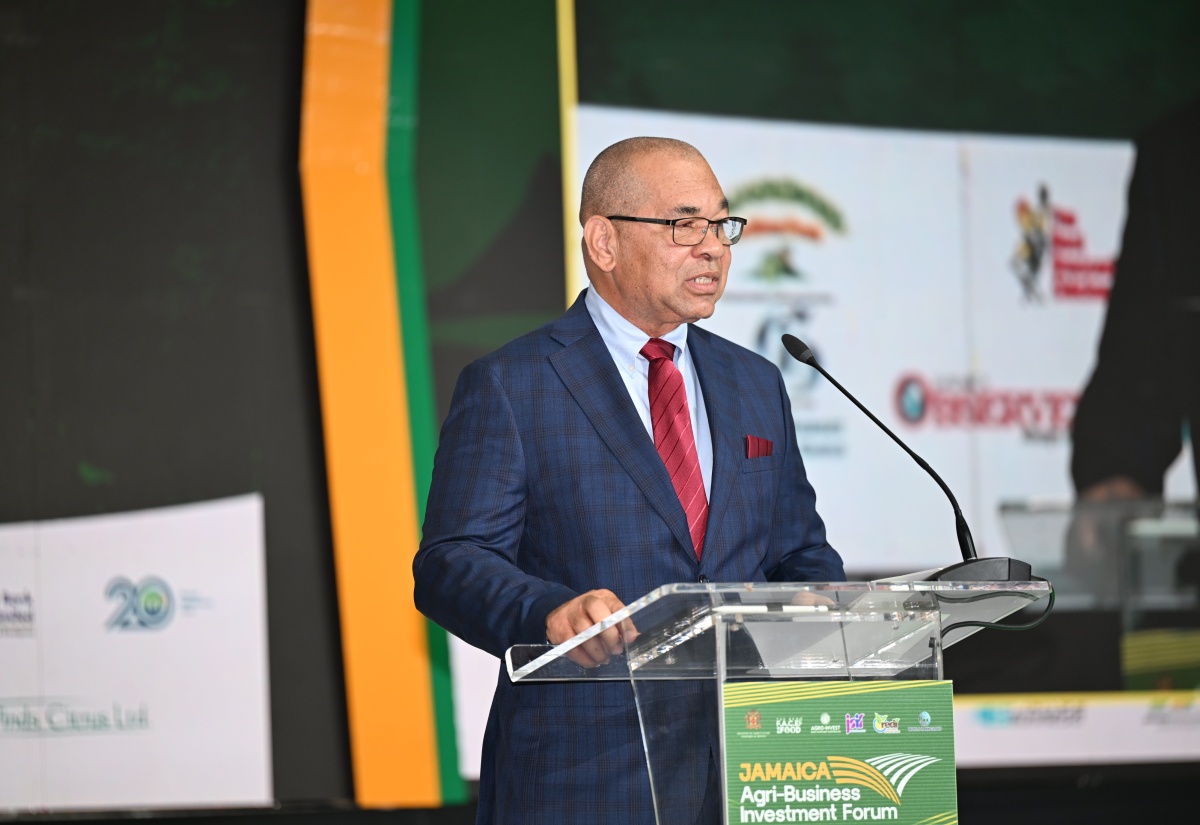 Over 9,000 Direct Beneficiaries under REDI II