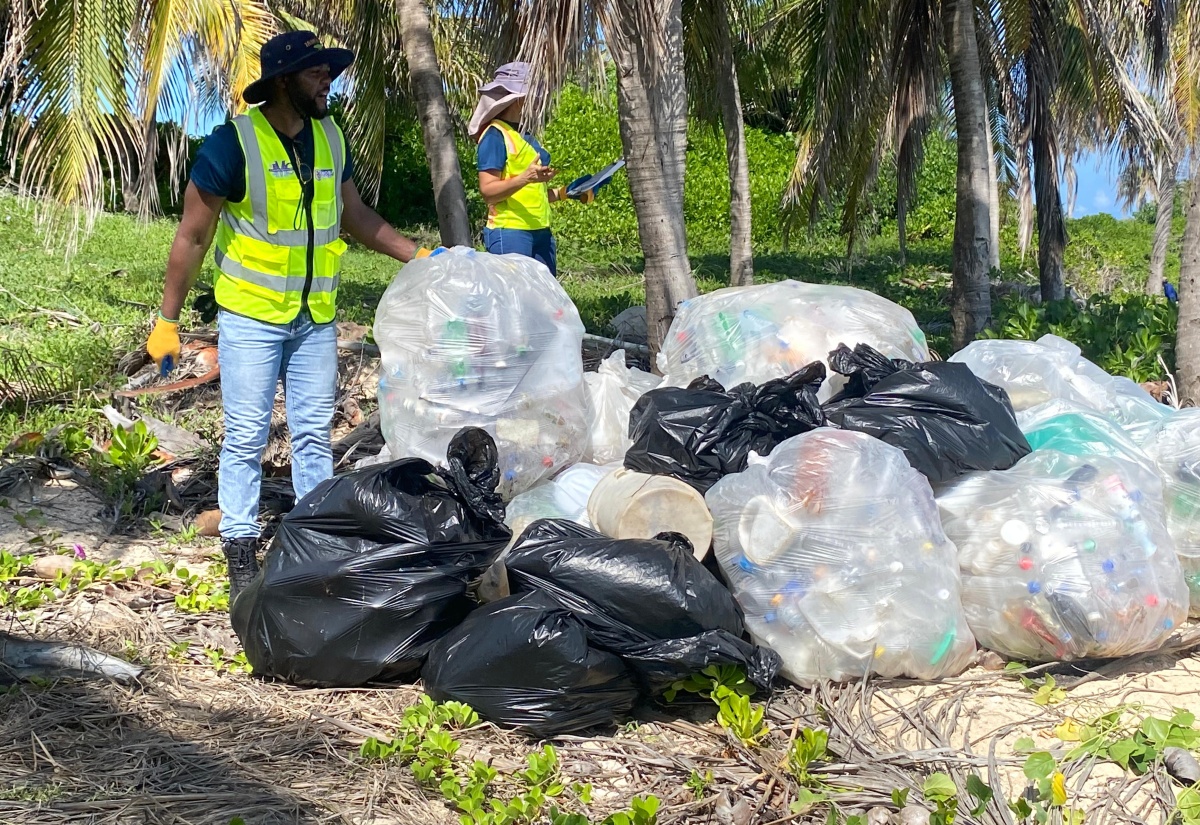Persons Take Part in International Coastal Cleanup Day