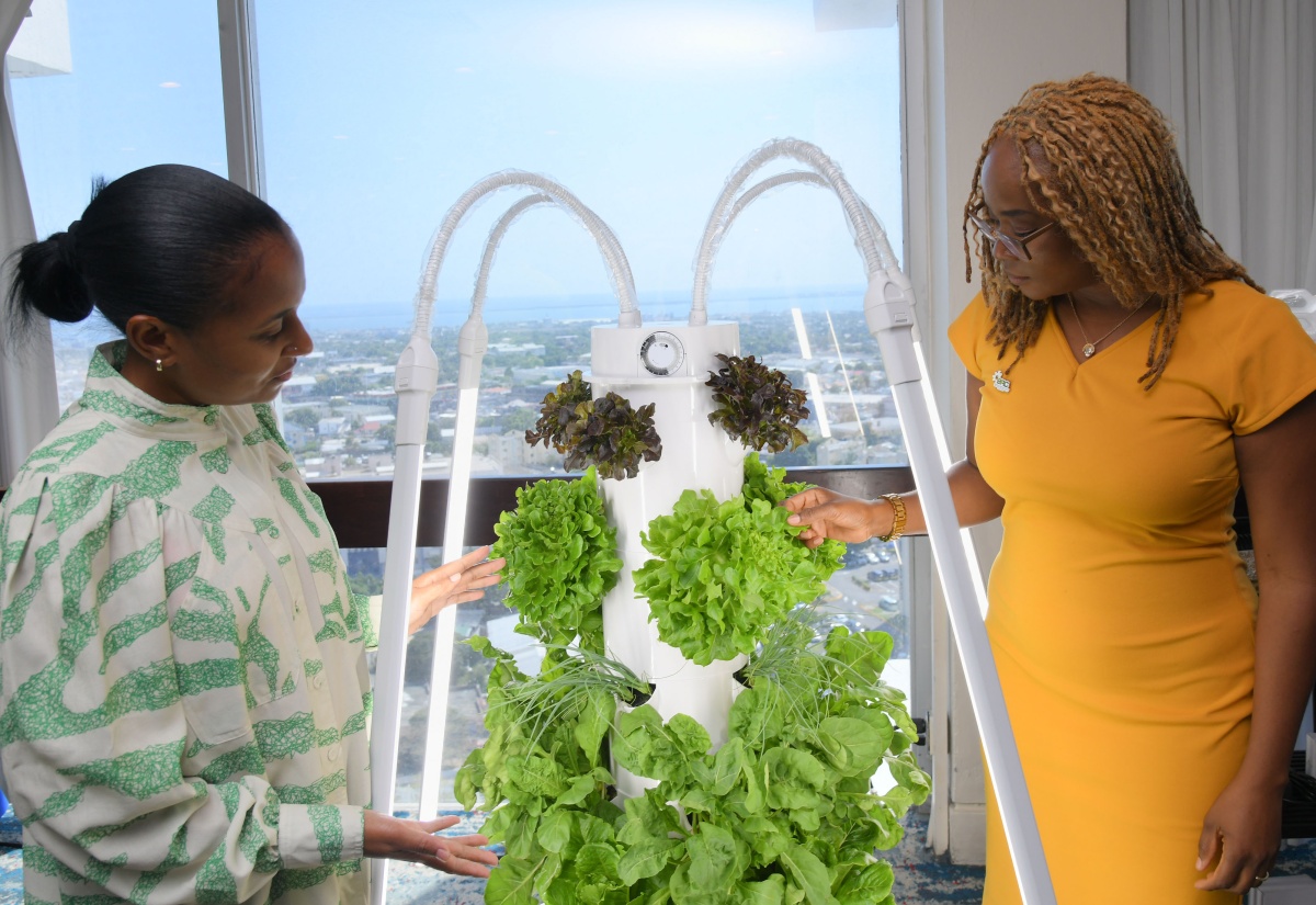 Three Climate Entrepreneurs are Scale-It-Up Accelerator Pitch Winners