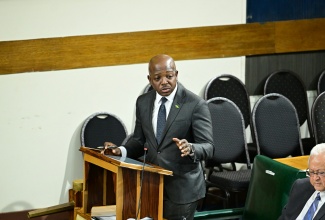 Minister of Labour and Social Security, Hon. Pearnel Charles Jr., speaks in the House of Representatives on Tuesday (October 7).