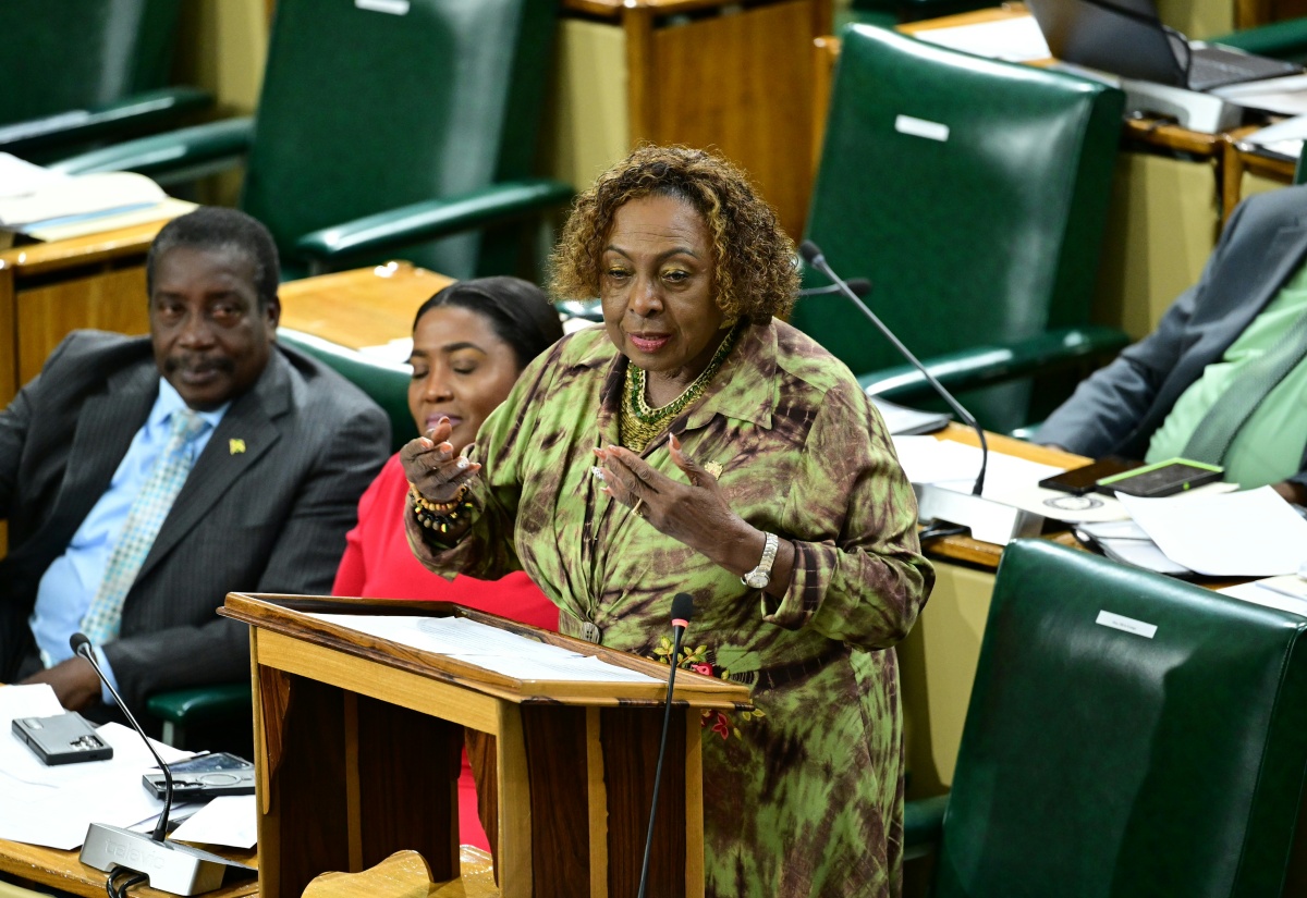 Minister Grange Unveils Cultural Policy Blueprint