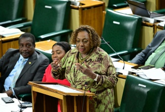 Minister of Culture, Gender, Entertainment and Sport, Hon. Olivia Grange, addresses the House of Representatives on Tuesday (October 7). Listening (from left) are Minister without Portfolio in the Ministry of Economic Growth and Infrastructure Development with Responsibility for Land Titling and Settlements, Hon. Robert Montague, and Minister of State in the Ministry of Culture, Gender, Entertainment and Sport, Hon. Kerensia Morrison.