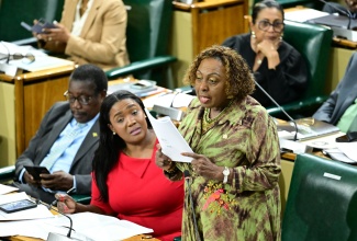 Minister of Culture, Gender, Entertainment and Sport, Hon. Olivia Grange, addresses the House of Representatives on October 7. With the Minister (from left) are Minister without Portfolio in the Ministry of Economic Growth and Infrastructure Development with responsibility for Land Titling and Settlements, Hon. Robert Montague, and Minister of State in the Ministry of Culture, Gender, Entertainment and Sport, Hon. Kerensia Morrison.