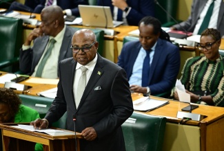 Minister of Tourism, Hon. Edmund Bartlett, makes a statement to the House of Representatives on October 14.

