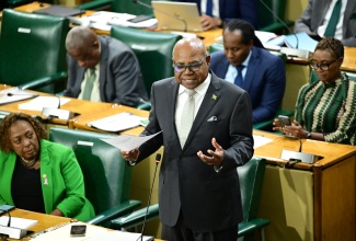 Minister of Tourism, Hon. Edmund Bartlett, addressing the House of Representatives on October 14.

