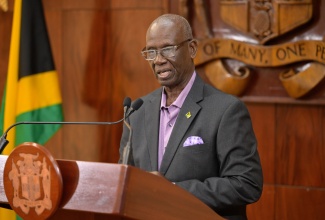 Minister of Local Government and Community Development, Hon. Desmond McKenzie.