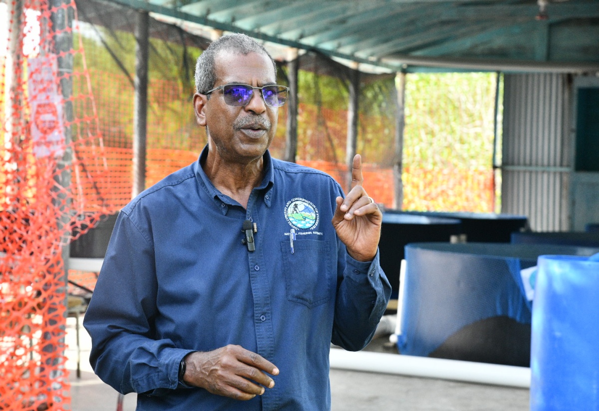 Agriculture Ministry Launches Red Snapper Pilot to Strengthen Food Security and Blue Economy