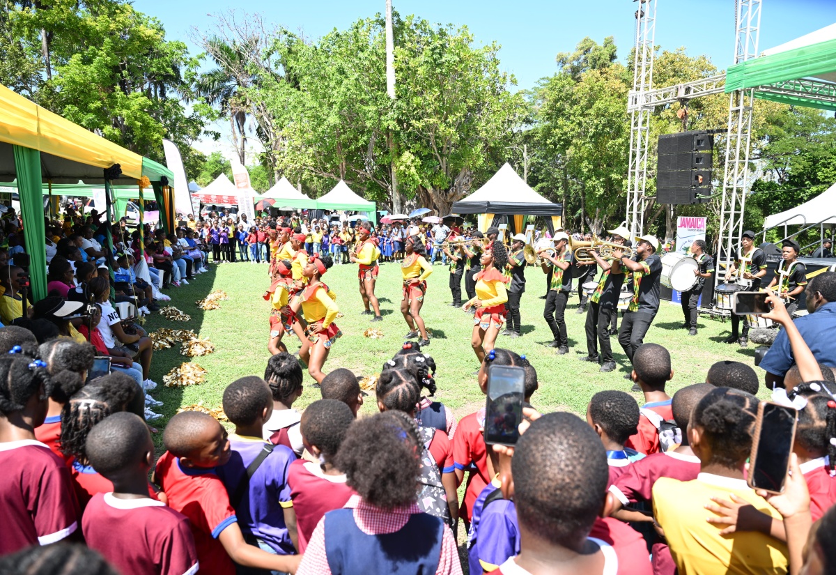 PHOTOS: Scores of Schools Attend Seville Heritage Expo