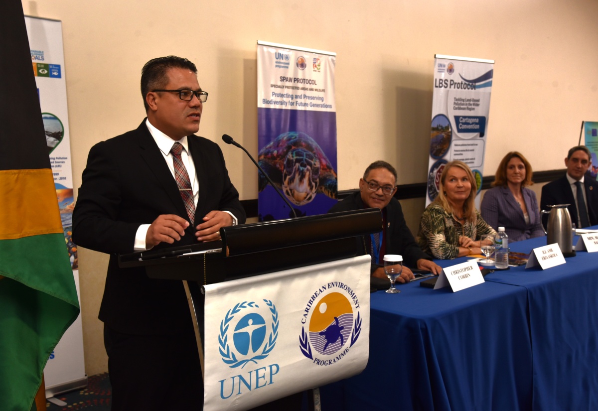 Minister Samuda Underscores Importance of Cartagena Convention