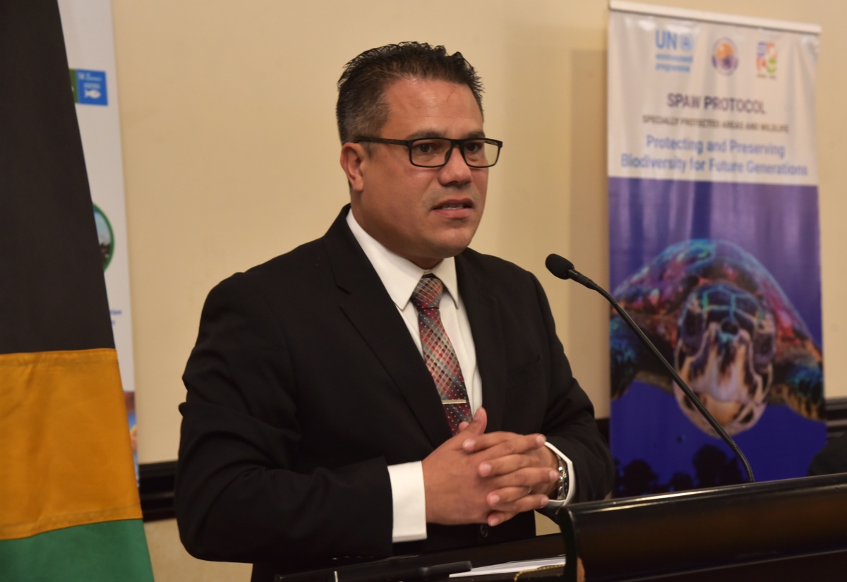 Jamaica Reaffirms Commitment to Ratify SPAW Protocol