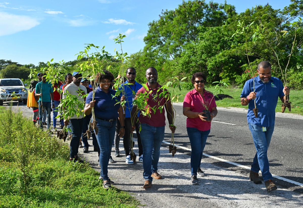 Ornamental and Fruit Trees Planted in Portmore for National Tree Planting Day