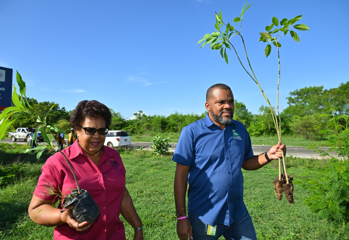 Ornamental and Fruit Trees Planted in Portmore for National Tree Planting Day