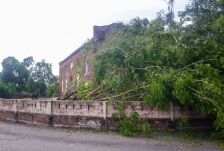 Fallen trees on the grounds of an Anglican Church located at the corner of Nugent Street, Martin Street and Brunswick Avenue in Spanish Town, St. Catherine following the passage of the Category 5 Hurricane Melissa.