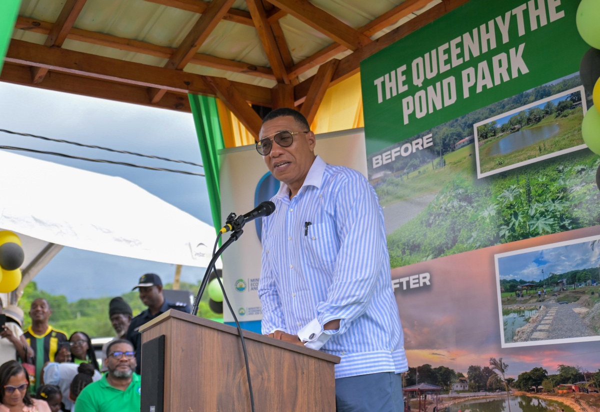 Queenhythe Pond Park Officially Opened