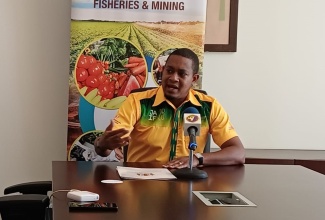 Minister of Agriculture, Fisheries and Mining, Hon. Floyd Green, addresses the Ministry’s Strategic Planning Retreat on September 25 at the Ocean Coral Springs Resort in Trelawny.


