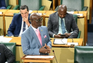 Minister of Local Government and Community Development, Hon. Desmond McKenzie, makes his contribution to the 2025/26 Sectoral Debate in the House of Representatives on Wednesday (May 28).