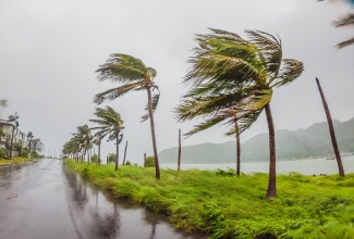 Tropical storm bringing heavy rain and strong winds.