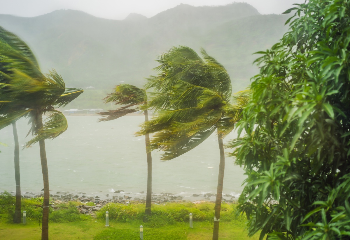 Tropical Storm Watch in Effect for Jamaica – Press Release #1