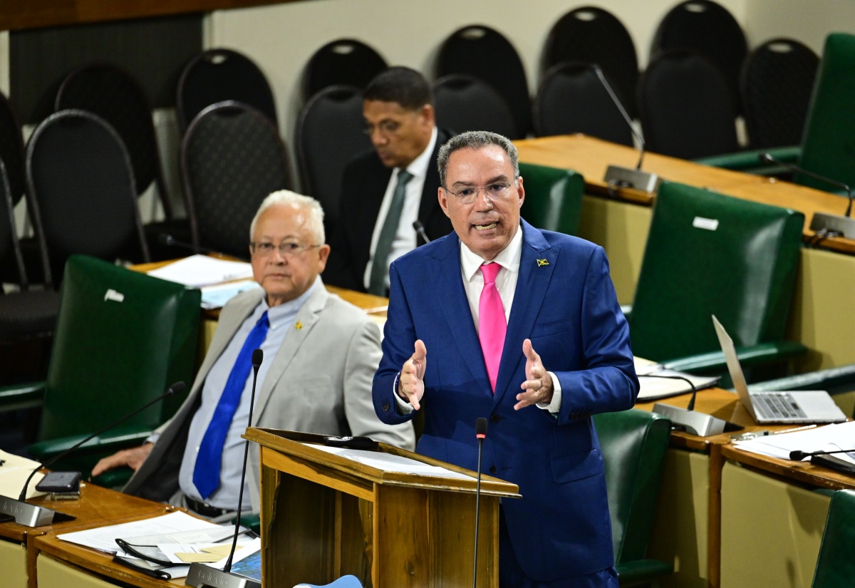 Minister of Energy, Transport and Telecommunications, Hon. Daryl Vaz, makes a statement to the House of Representatives on Tuesday (November 25).


